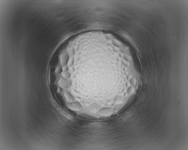 X0000073471227200608181322