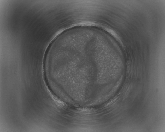 X0000073471229200608181322