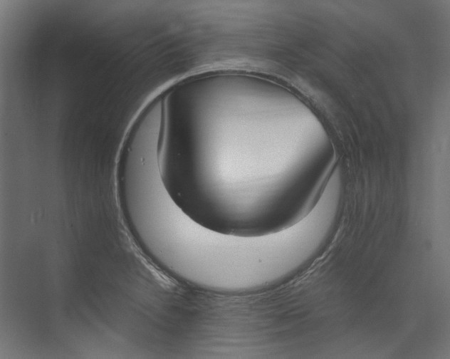 X0000073471230200608181322