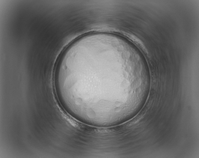 X0000073471231200608181322