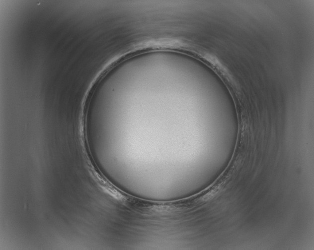 X0000073471232200608181322