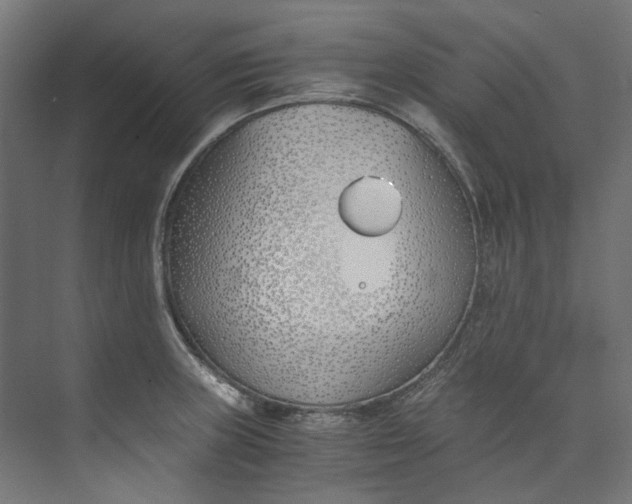 X0000073471235200608181323