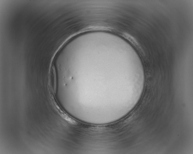 X0000073471236200608181323