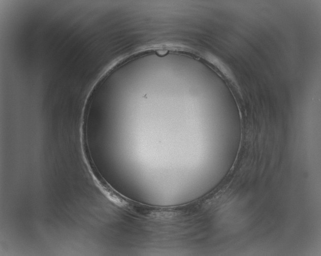 X0000073471237200608181323