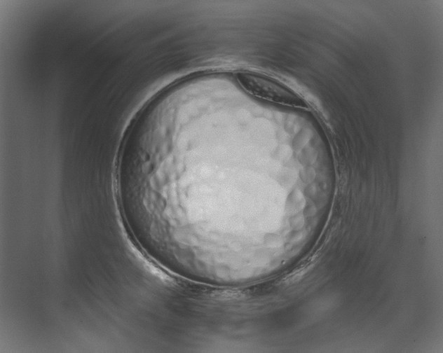 X0000073471239200608181323