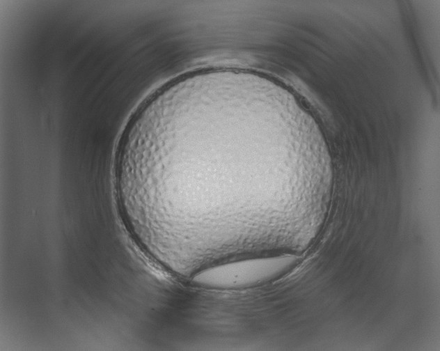 X0000073471240200608181323