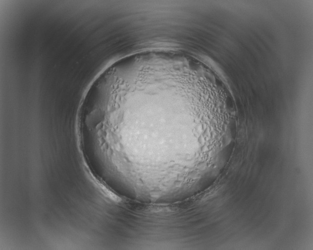 X0000073471243200608181323