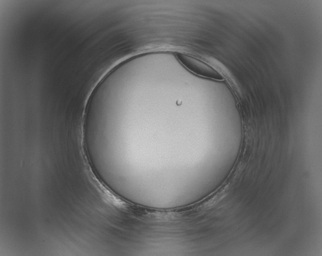 X0000073471244200608181323