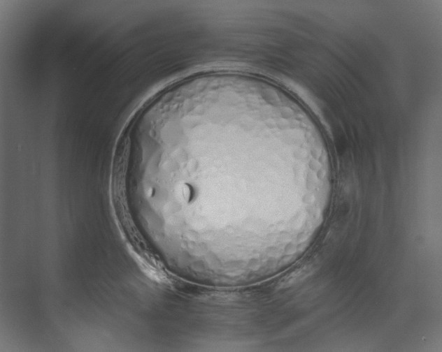 X0000073471245200608181323