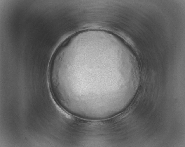 X0000073471247200608181323