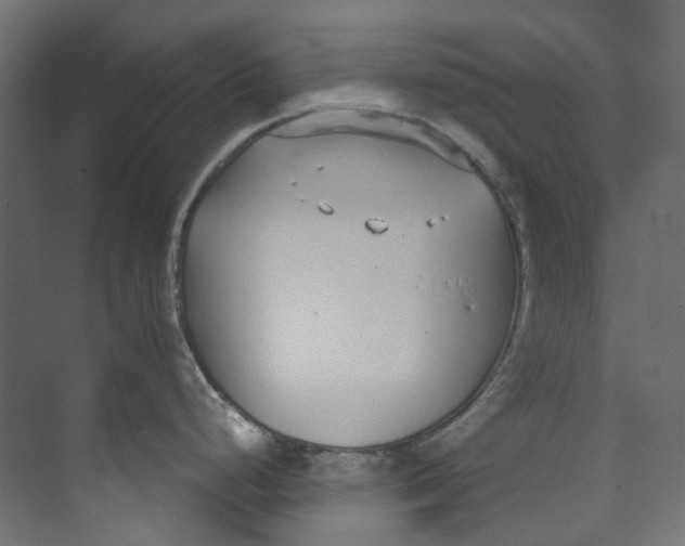 X0000073471248200608181323