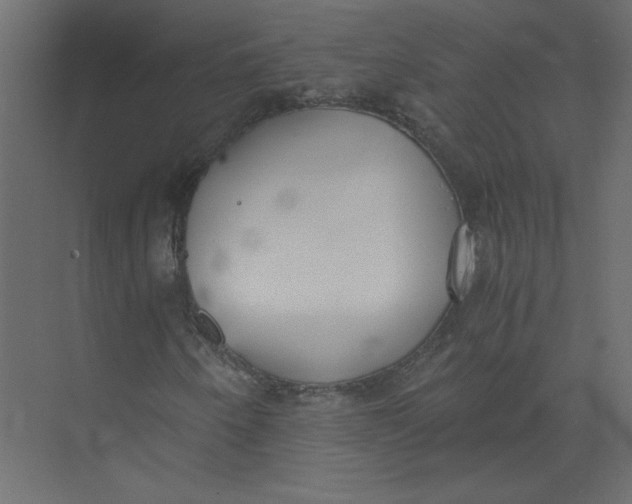 X0000073471250200608181322