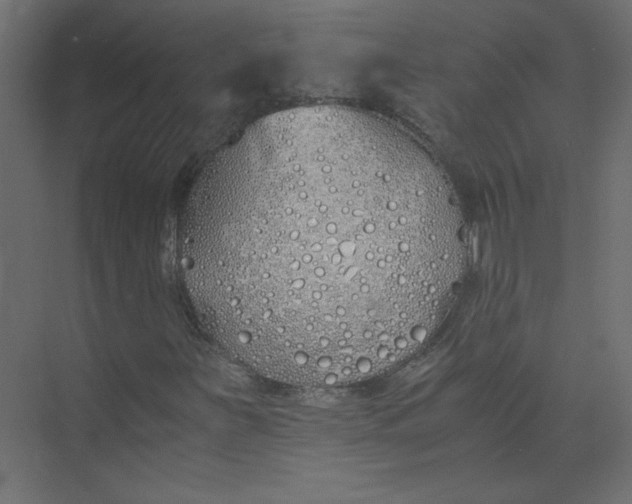 X0000073471251200608181322