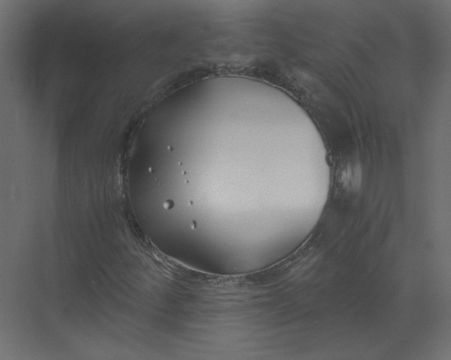 X0000073471252200608181322