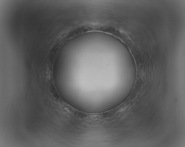 X0000073471253200608181322