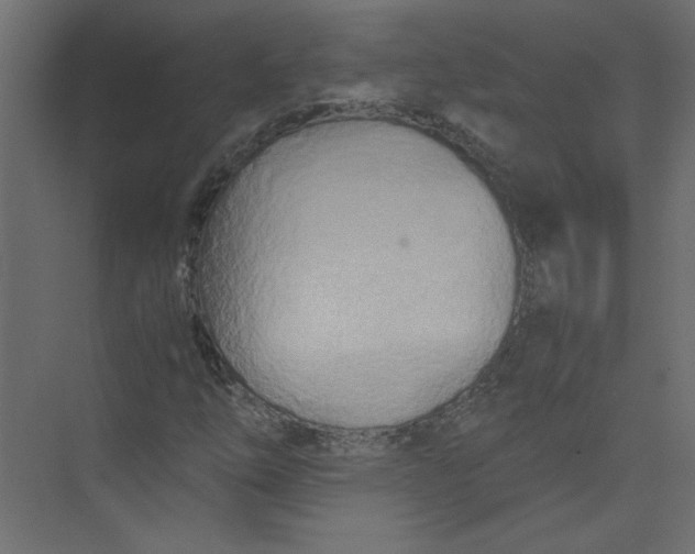 X0000073471254200608181322