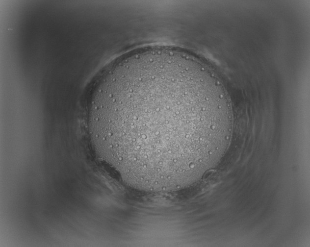 X0000073471255200608181322