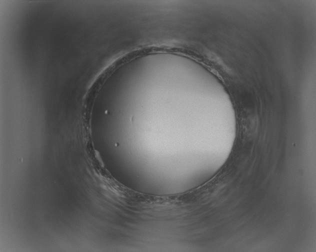 X0000073471256200608181322