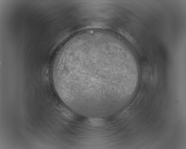 X0000073471258200608181322