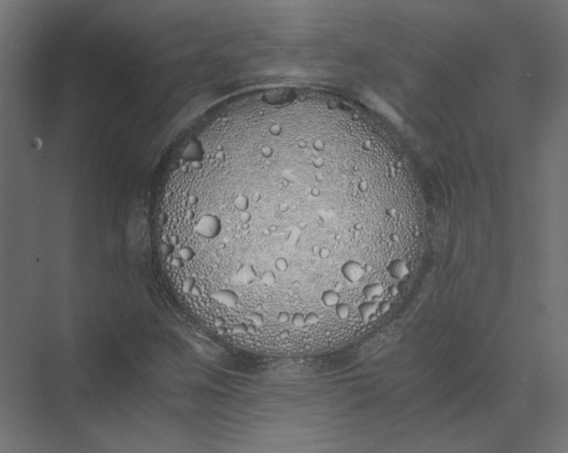 X0000073471259200608181322