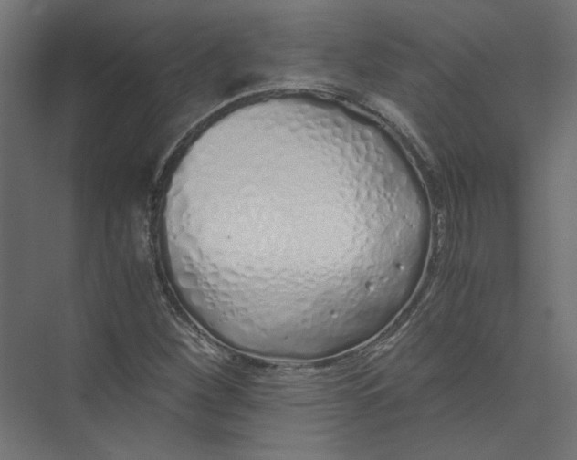 X0000073471260200608181322