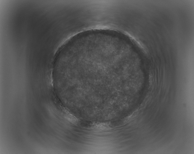 X0000073471262200608181322