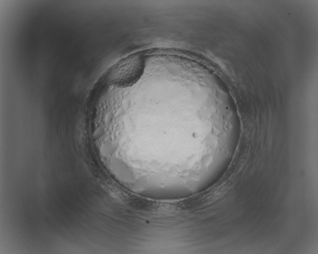 X0000073471263200608181322