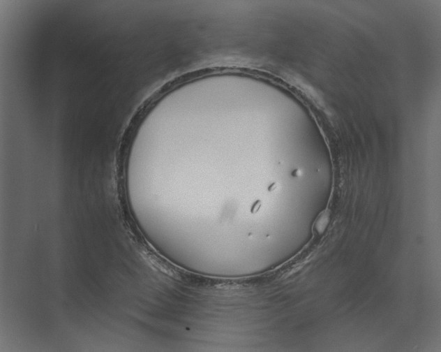 X0000073471264200608181322