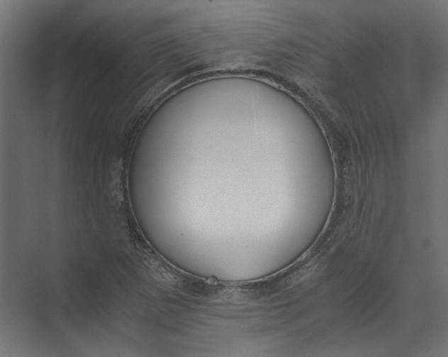 X0000073471265200608181322