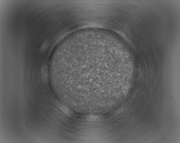 X0000073471266200608181322