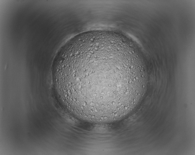 X0000073471267200608181322