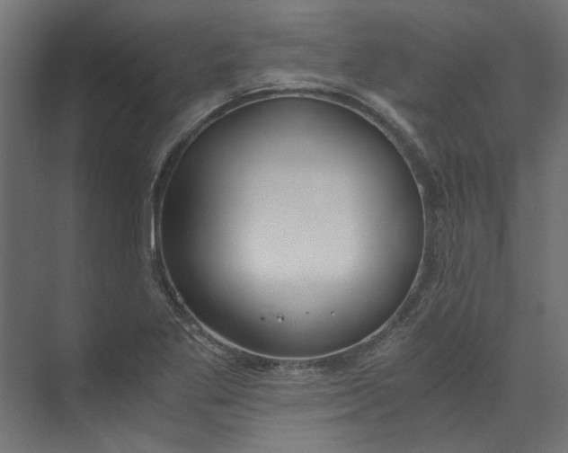 X0000073471269200608181322