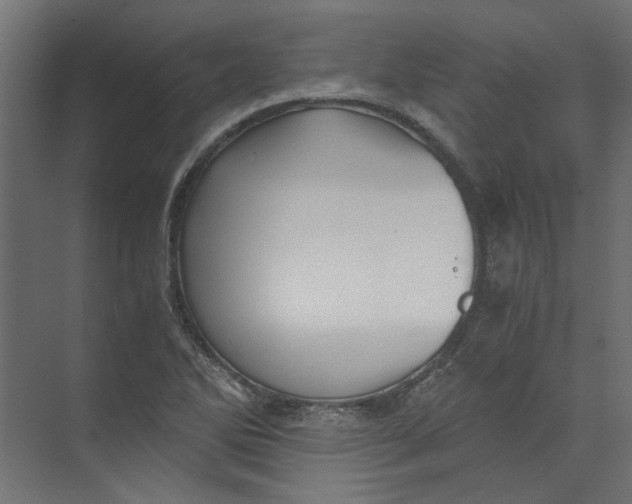 X0000073471270200608181322