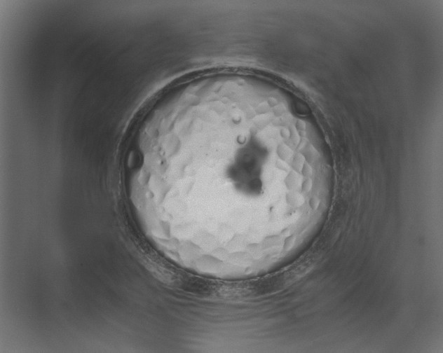 X0000073471271200608181322