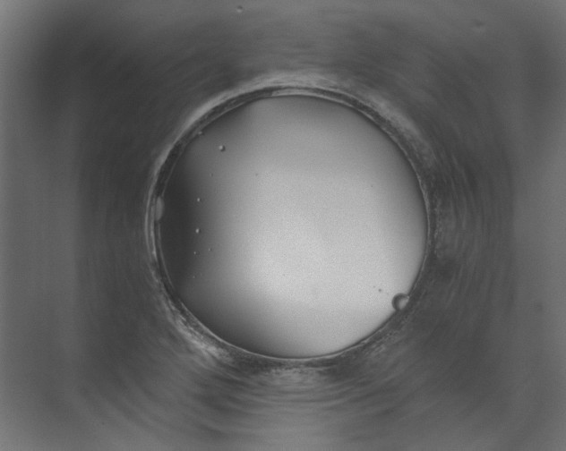 X0000073471272200608181322