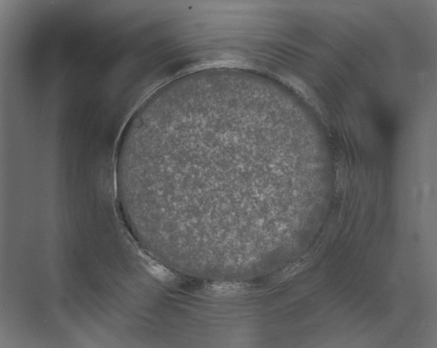 X0000073471274200608181322