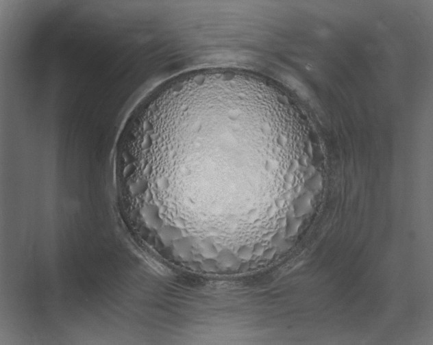 X0000073471275200608181322