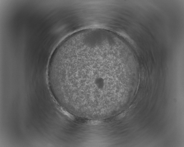 X0000073471278200608181321