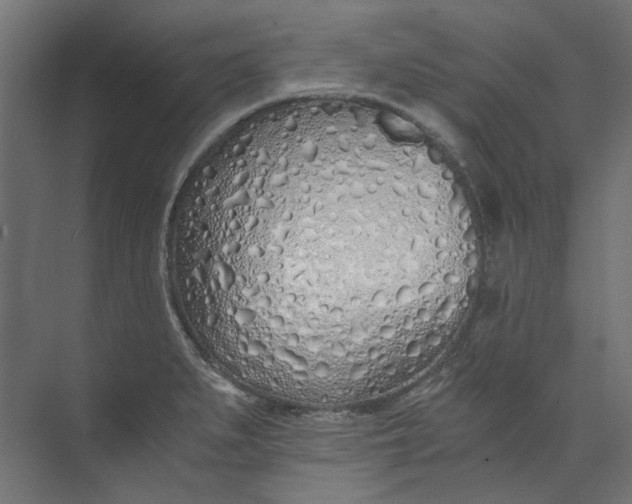 X0000073471279200608181321