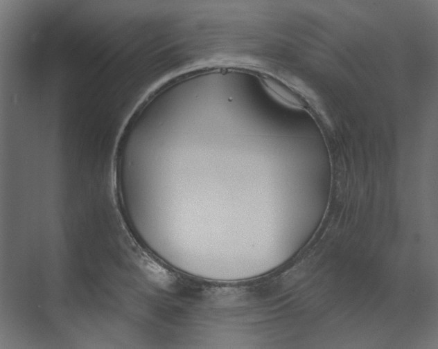 X0000073471280200608181321