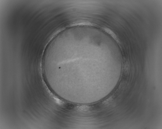 X0000073471282200608181321