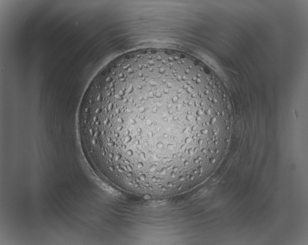 X0000073471283200608181321