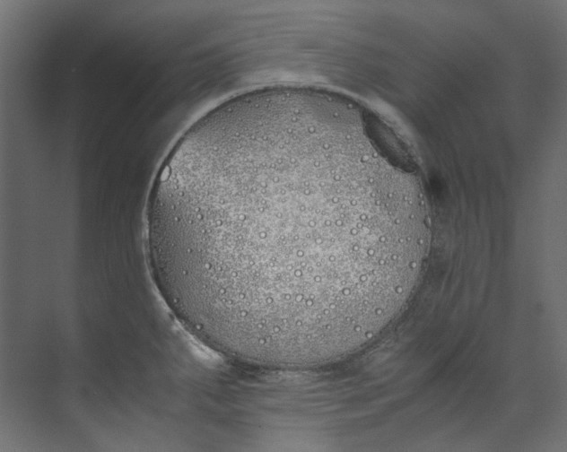 X0000073471287200608181321