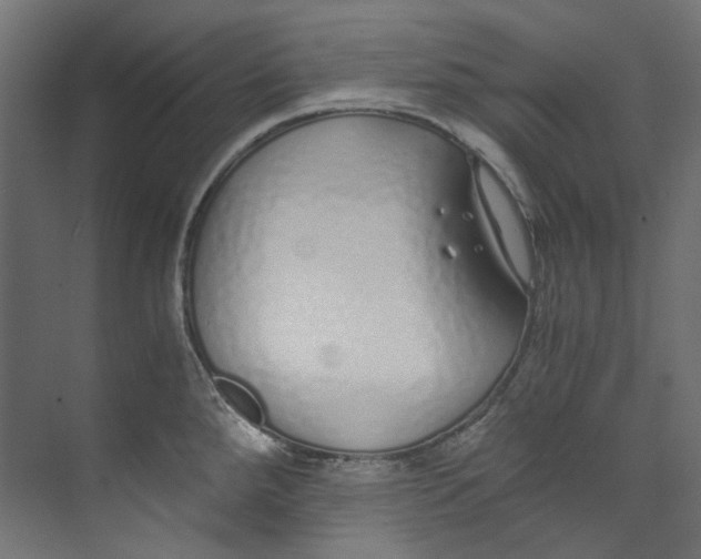 X0000073471288200608181321