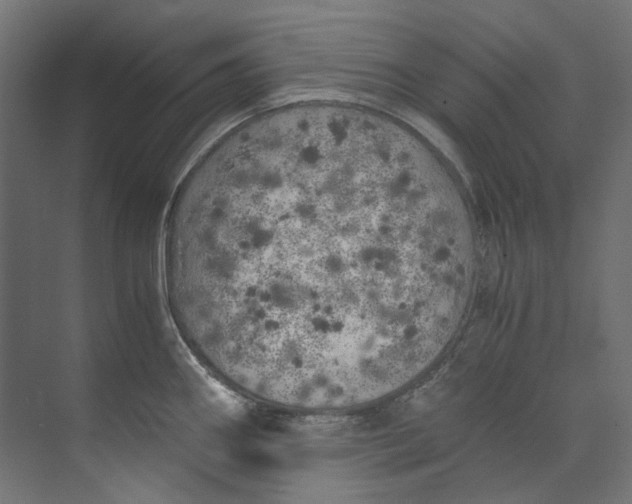 X0000073471290200608181321