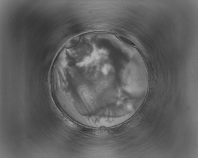 X0000073471291200608181321