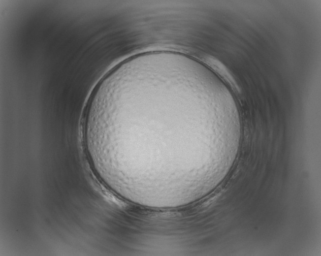 X0000073471292200608181321