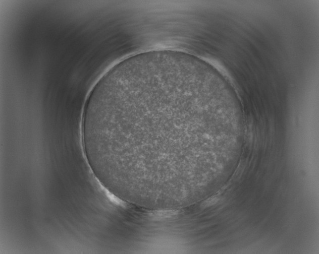 X0000073471294200608181321