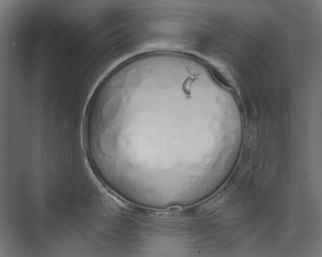 X0000073471295200608181321