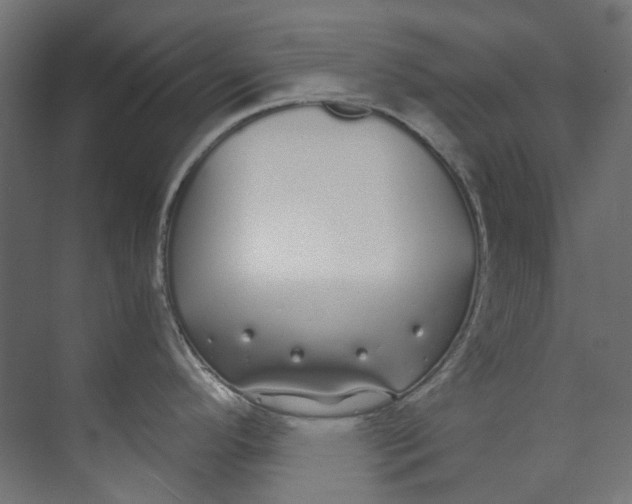 X0000073471296200608181321